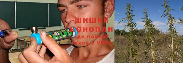 бошки Аркадак