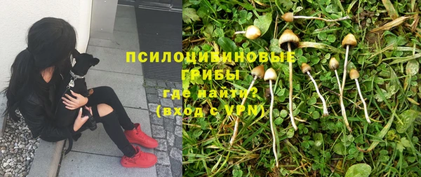 бошки Аркадак